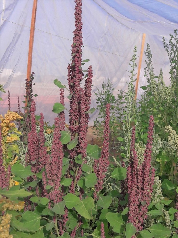 428BFDFF A190 4BC2 99EC 8743D8BB21F6