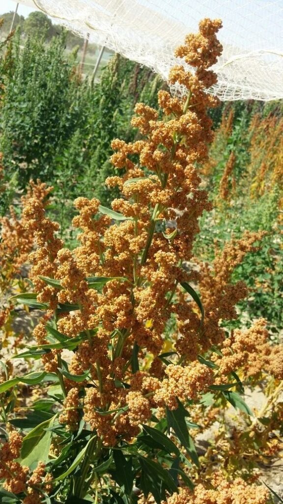 49BC7404 710B 4F02 BCCA 5DCE745AF26B