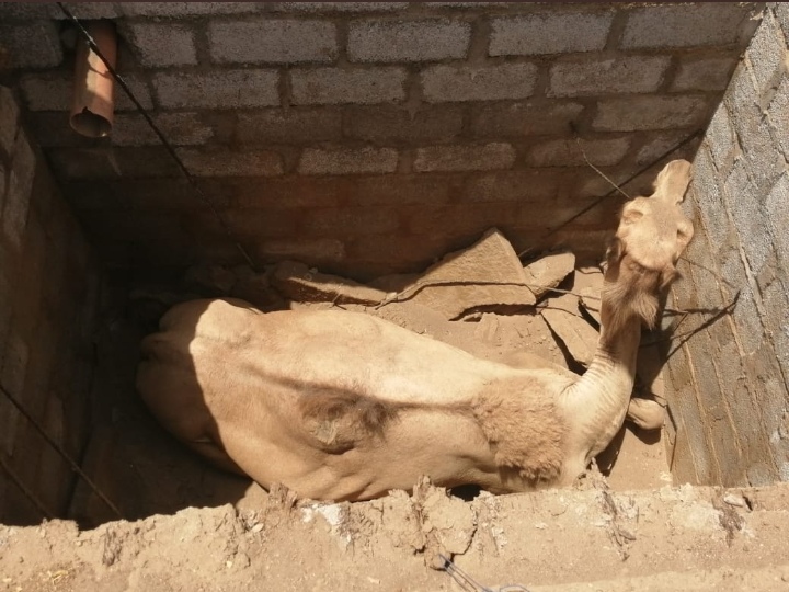 IMG ٢٠٢٠٠٧١٢ ١٣٣٤٤٥