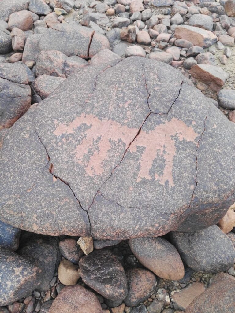 قرية " الخريص " قرية جميلة تحتاج لبعض اللمسات 4 IMG 20200919 WA0009