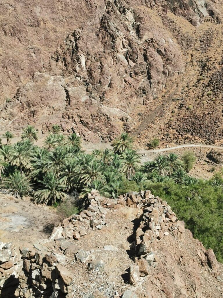 قرية " الخريص " قرية جميلة تحتاج لبعض اللمسات 2 IMG 20200919 WA0012